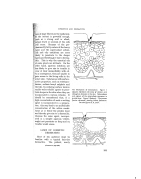 visit page 43
