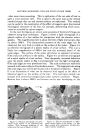 visit page 4