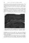 visit page 4
