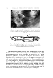 visit page 22