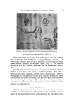 visit page 23