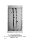 visit page 8