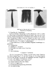 visit page 13