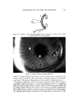 visit page 23