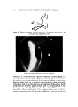 visit page 24