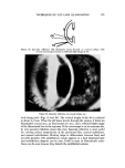 visit page 25