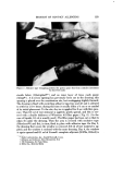 visit page 3
