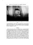 visit page 4