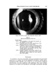 visit page 43