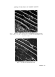 visit page 7