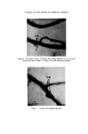 visit page 8
