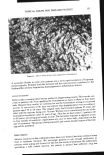 visit page 50