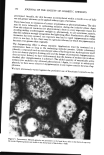 visit page 51