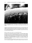 visit page 57