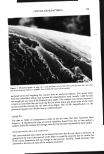 visit page 58