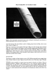 visit page 5