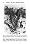 visit page 40