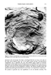 visit page 61