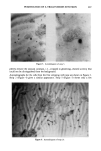 visit page 12