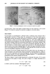 visit page 13