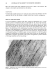 visit page 4
