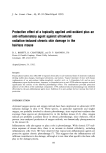visit page 16