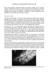 visit page 3