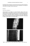 visit page 5