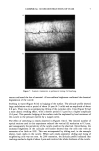 visit page 7