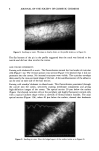 visit page 8