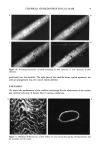 visit page 9