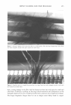visit page 46