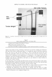 visit page 48