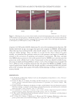 visit page 13