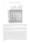 visit page 13