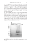 visit page 14
