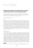 visit page 24