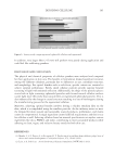 visit page 11