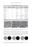 visit page 8